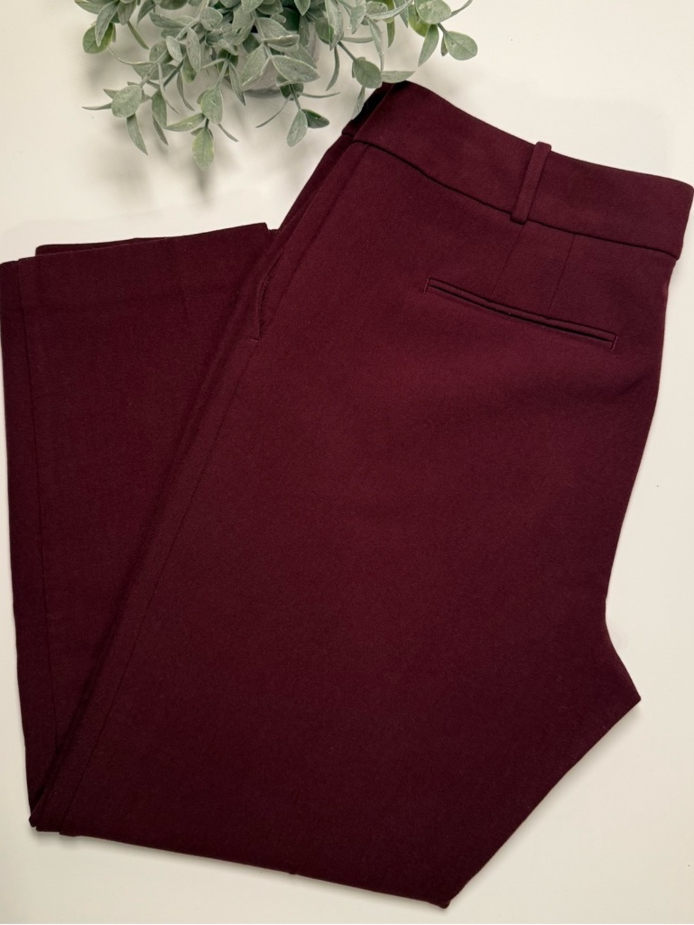 Ann Taylor Kate Fit Burgundy Wide Leg Crop Pant Trousers Womens Size 12 Feminine